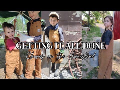 Large Family Homesteading ~ How We Get the Work Done
